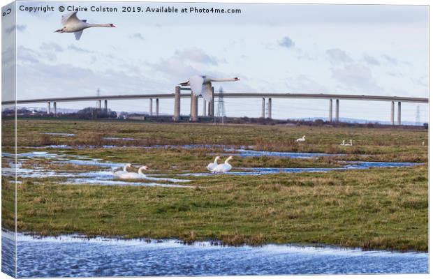 Geese flying Sheppey Bridge Canvas Print by Claire Colston