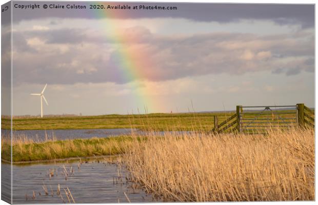 Somewhere over the Rainbow Canvas Print by Claire Colston