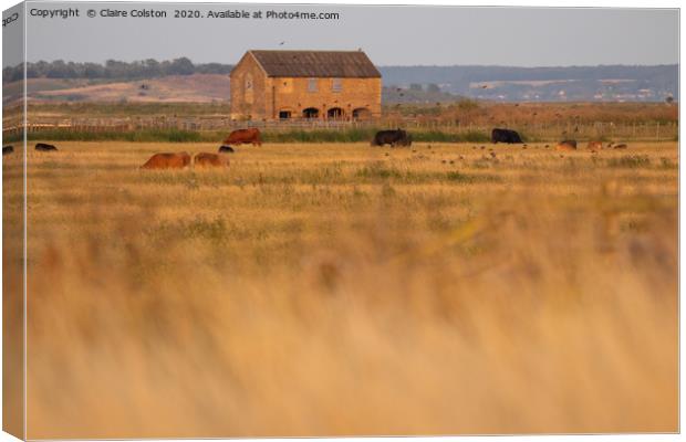 School house Swale estuary Canvas Print by Claire Colston