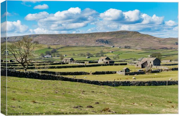 Yorkshire Dales Barns Canvas Print by Keith Douglas