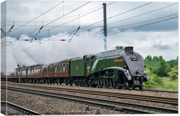 Union of South Africa Steam Locomotive Canvas Print by Keith Douglas