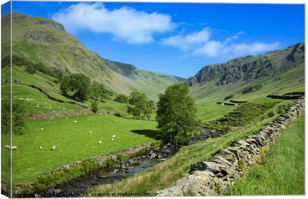 Longsleddale, Lake District Canvas Print by Keith Douglas