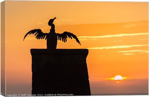 Morecambe Cormorant at Sunset Canvas Print by Keith Douglas