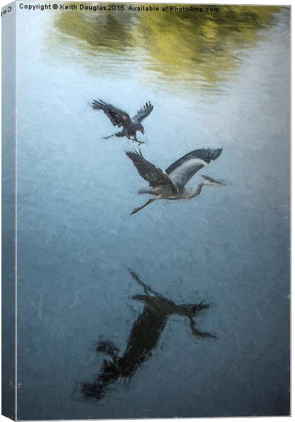 The Heron and the Crow Canvas Print by Keith Douglas