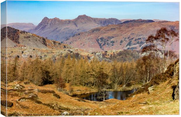 Langdale Pikes from Holme Fell Canvas Print by Keith Douglas