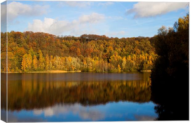 Autumn forest and lake Canvas Print by Joan le Poole