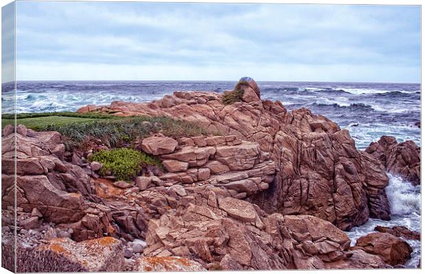 The most beautiful pebble beach Canvas Print by Bhanumathy Mohanan