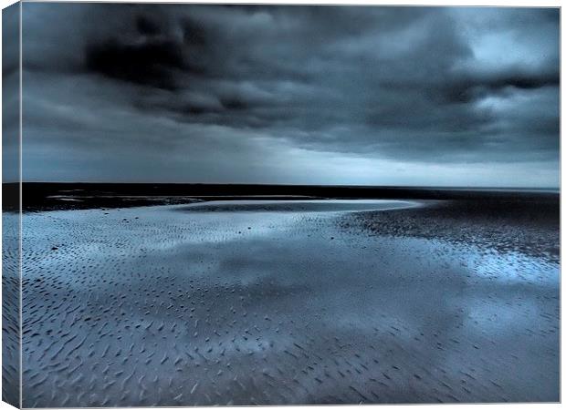 Blue reflections, winter beach Canvas Print by Sally Coleman