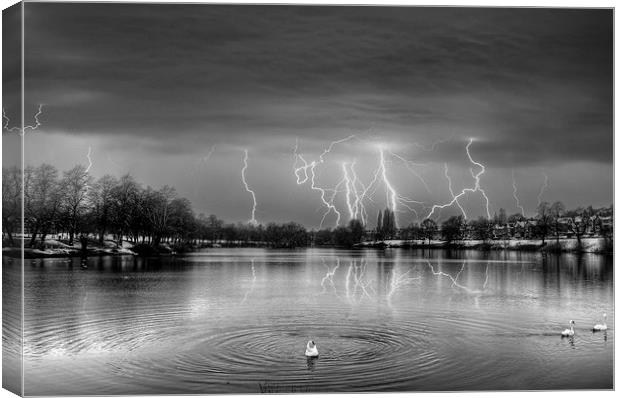 It was a lovely evening until lightning struck - i Canvas Print by Satya Adt