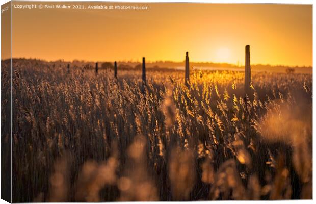 Sunset at Shingle Street Canvas Print by Paul Walker