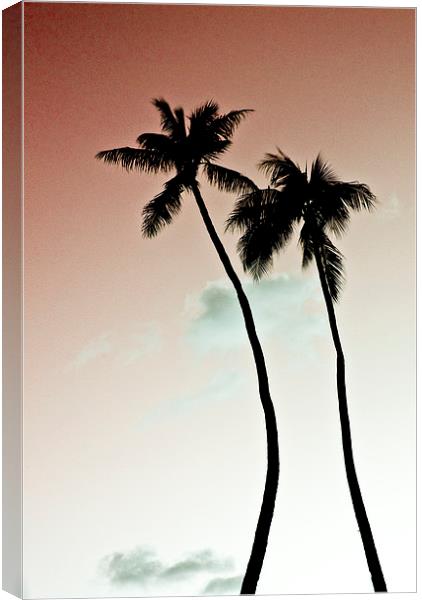 Palm Trees Canvas Print by Paul Walker