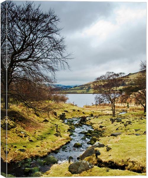 Dovestones Canvas Print by Paul Walker