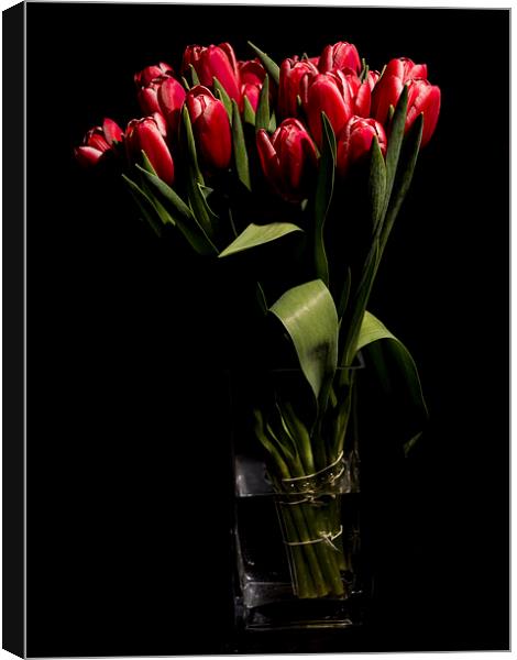 Red tulips in the vase Canvas Print by Laco Hubaty