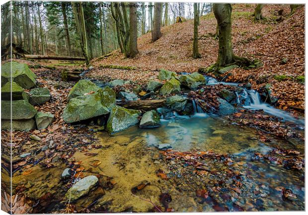 Water stream in the forest Canvas Print by Laco Hubaty