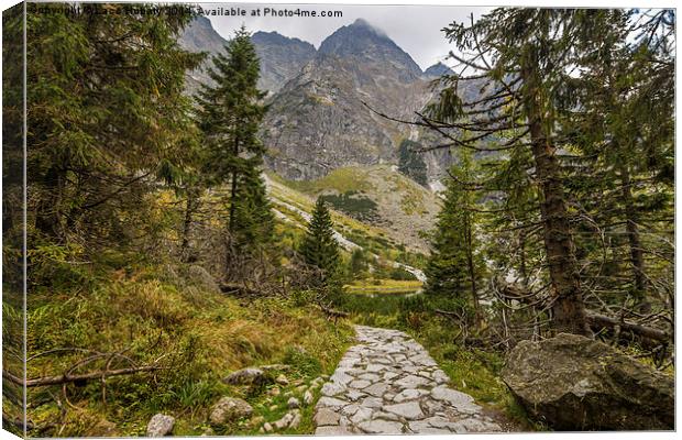 Trail to the mountain Canvas Print by Laco Hubaty