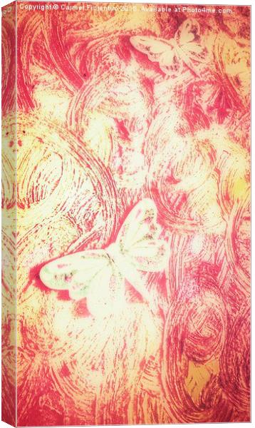  Butterfly Swirl Canvas Print by Carmel Fiorentini
