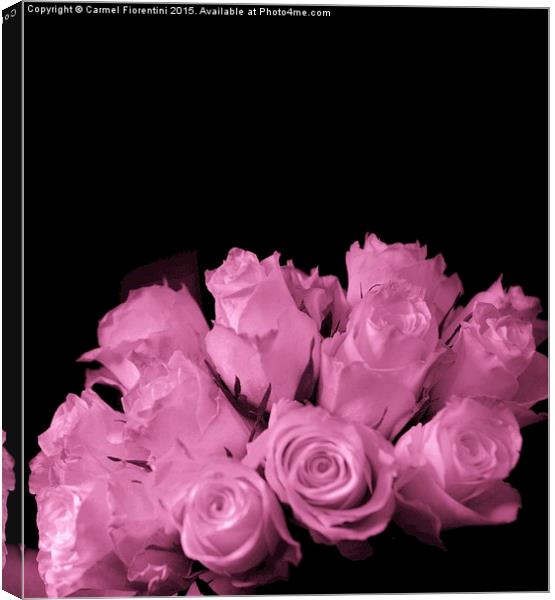  Pink Roses Canvas Print by Carmel Fiorentini