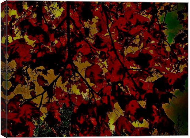  Autumnal Leaves Canvas Print by Carmel Fiorentini