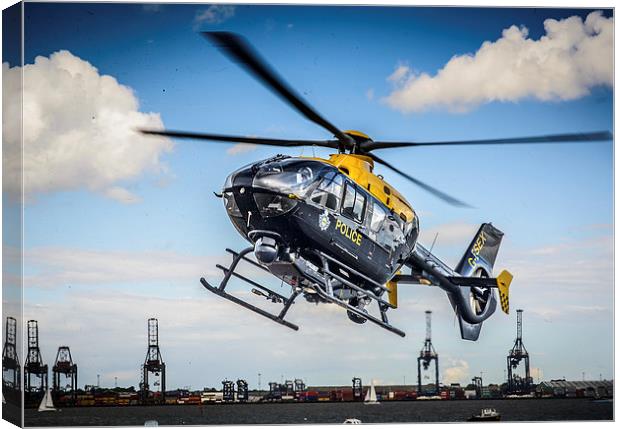 Taking off on a shout Canvas Print by matthew  mallett