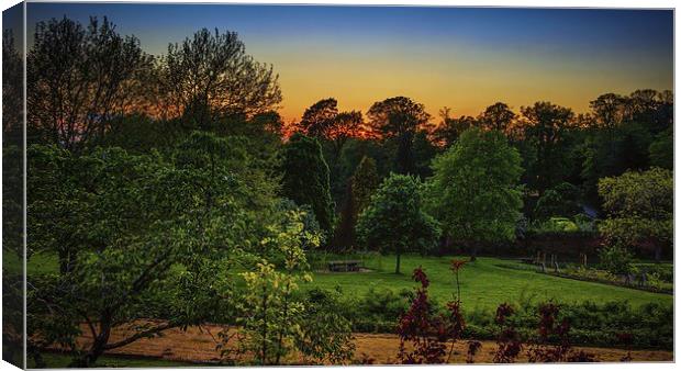Sunset through the Tree Tops Canvas Print by matthew  mallett