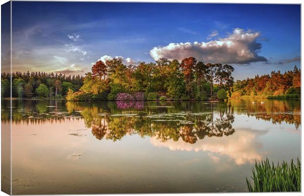 Tranquil Moment By the Lake Canvas Print by matthew  mallett
