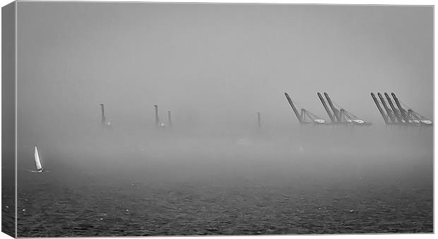 Emerging from the Mist Canvas Print by matthew  mallett