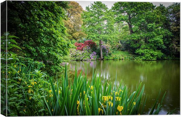 Pond of Many Colours Canvas Print by matthew  mallett