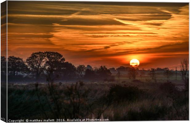 Winter Sunrise at Landermere Essex Canvas Print by matthew  mallett