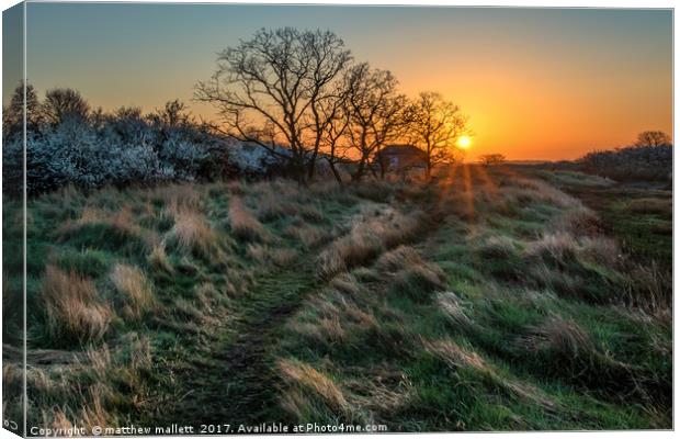 Sunrise Walk On Essex Backwaters Canvas Print by matthew  mallett