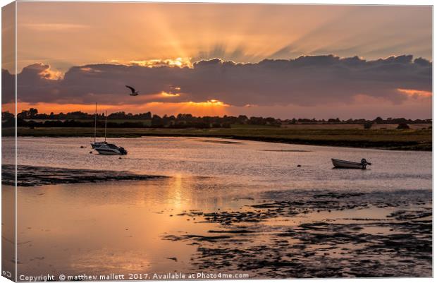 Golden Hour at Landermere Canvas Print by matthew  mallett