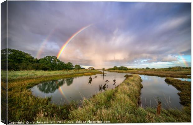 Swallows, Rainbows and Reflections Canvas Print by matthew  mallett