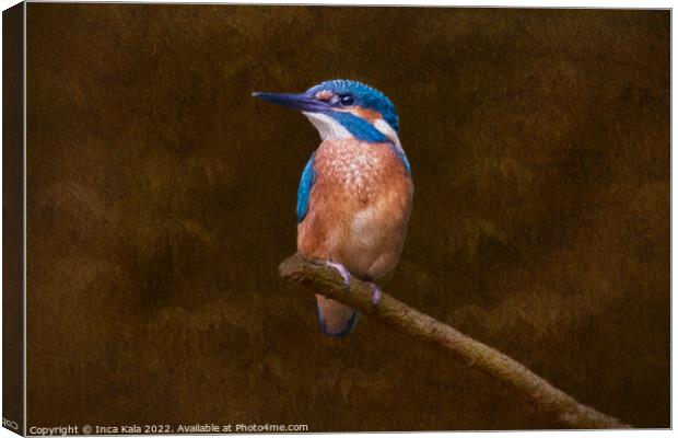 Kingfisher Perched and Posing Canvas Print by Inca Kala