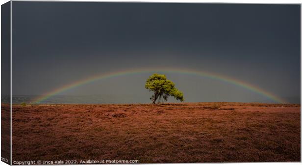 Rainbow Over The Egton Lonley Tree Canvas Print by Inca Kala