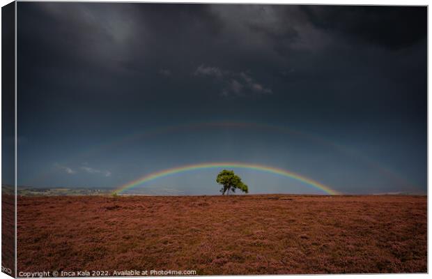 Double Rainbow Over The Lonely Tree On Egton Moor Canvas Print by Inca Kala