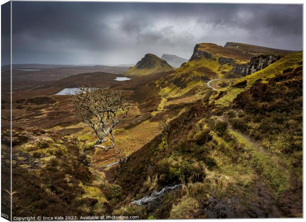 The Quiraing View and its Famous Lonely Tree Canvas Print by Inca Kala