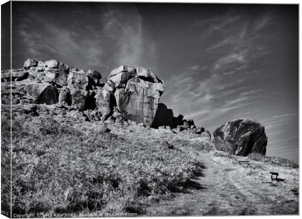 The Path to the Cow and Calf Rocks of Ilkley  Canvas Print by Inca Kala
