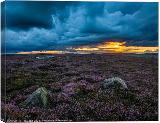 Sunset and Storms Over the Moorland Heather Canvas Print by Inca Kala