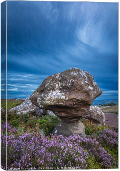 Weather Sculpted Rock and Moorland Heather  Canvas Print by Inca Kala