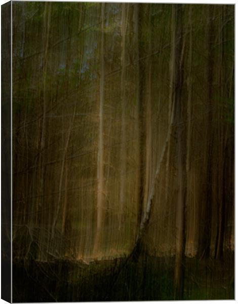 In The Dark Forest Canvas Print by Inca Kala