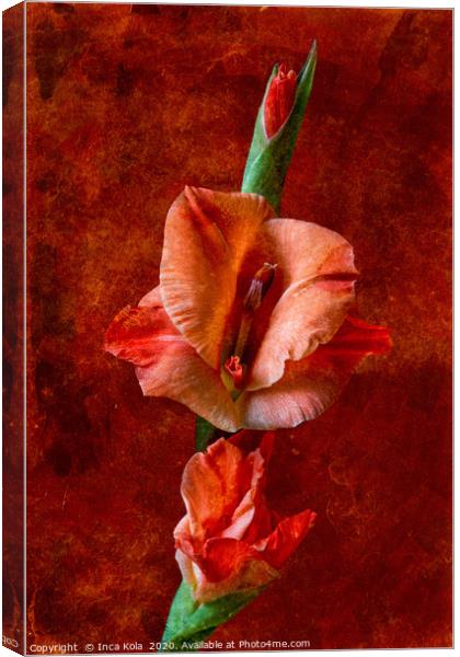 Gladioli Flowers on a Stem Canvas Print by Inca Kala