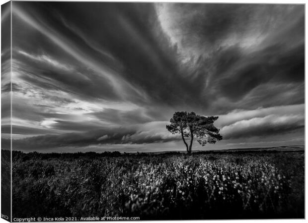 Egton Lonely Tree Under A Dramatic Sky Canvas Print by Inca Kala