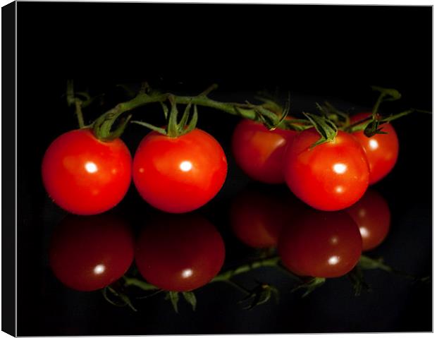 Ripe and juicy Vine tomatoes Canvas Print by anna collins