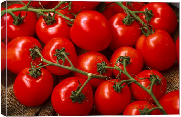 Juicy red tomatoes Canvas Print by anna collins