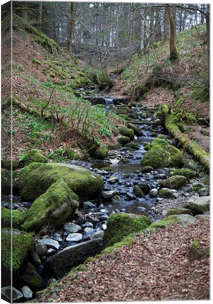  Winding Stream in Cumbria Canvas Print by anna collins