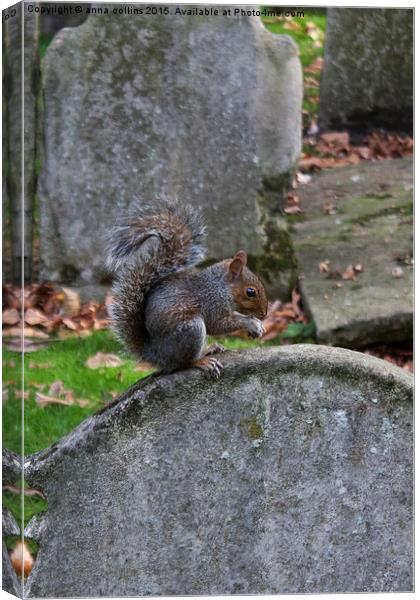  Graveyard Squirrel Canvas Print by anna collins