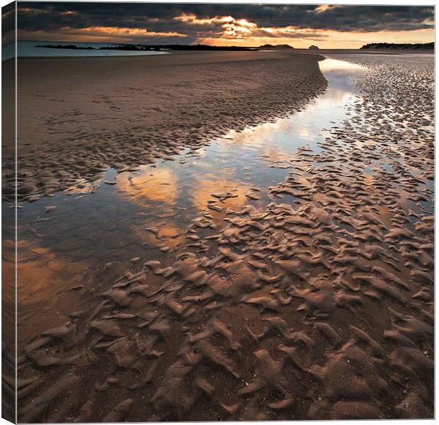 Golden Sands Canvas Print by Andy Redhead
