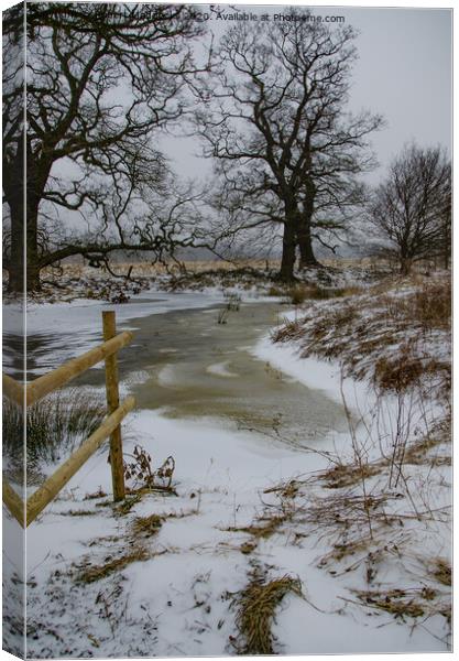 Frozen Brook Canvas Print by Robert Maddocks