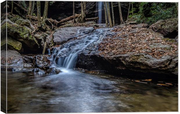 Cucumber Falls Canvas Print by Lou Divers