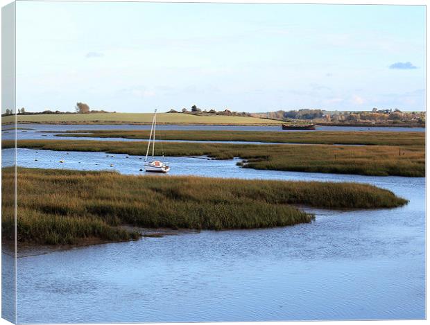 Riverside Country Park Canvas Print by Stewart Nicolaou