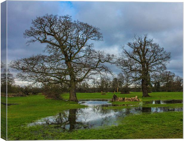 Langley Park Canvas Print by Stewart Nicolaou